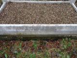 image of grave number 707659